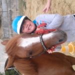 cheval